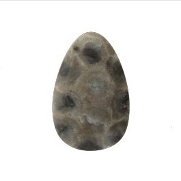 34x22mm Petoskey Stone Fossil