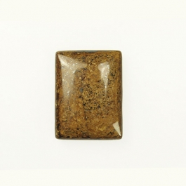 Bronzite 10x14mm Rectangle Cabochon - Pack of 2