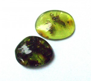 Genuine Green Amber from Lithuania